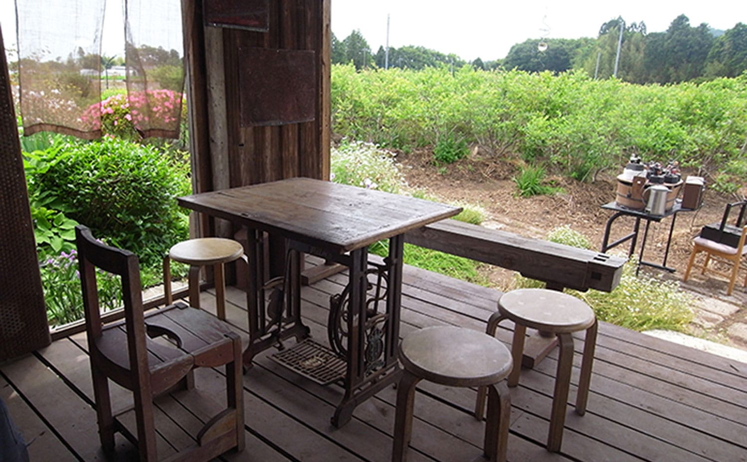 磯野ブルーベリー園