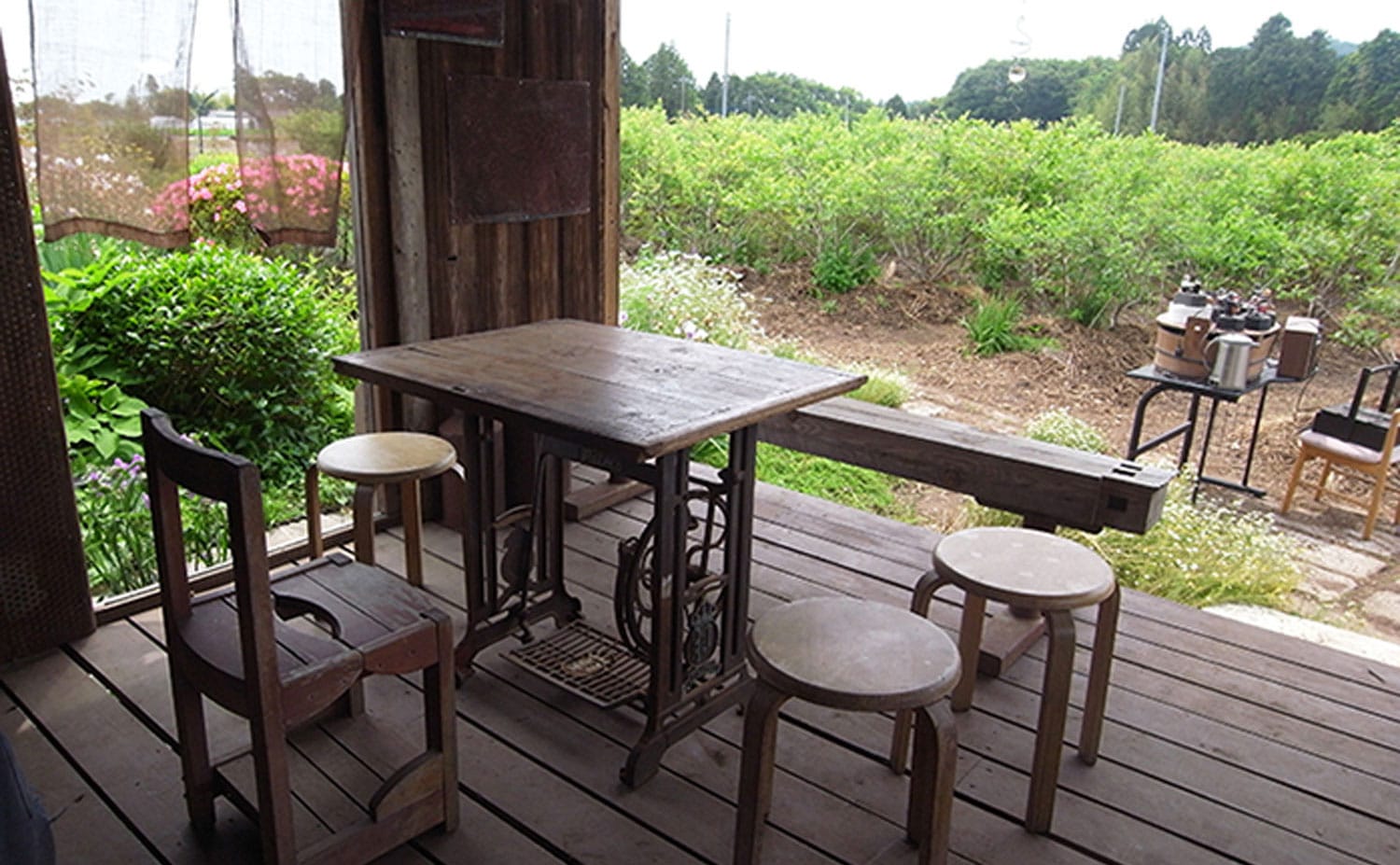 磯野ブルーベリー園