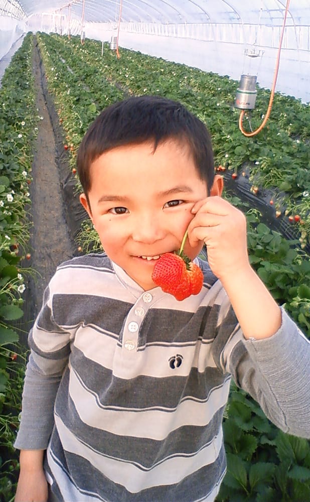 安心へのこだわり