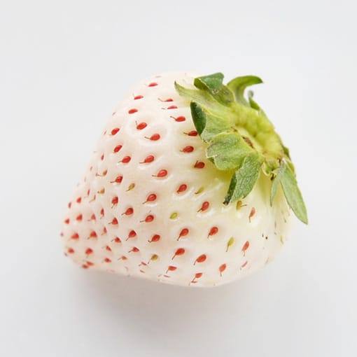 エンジェル・エイト